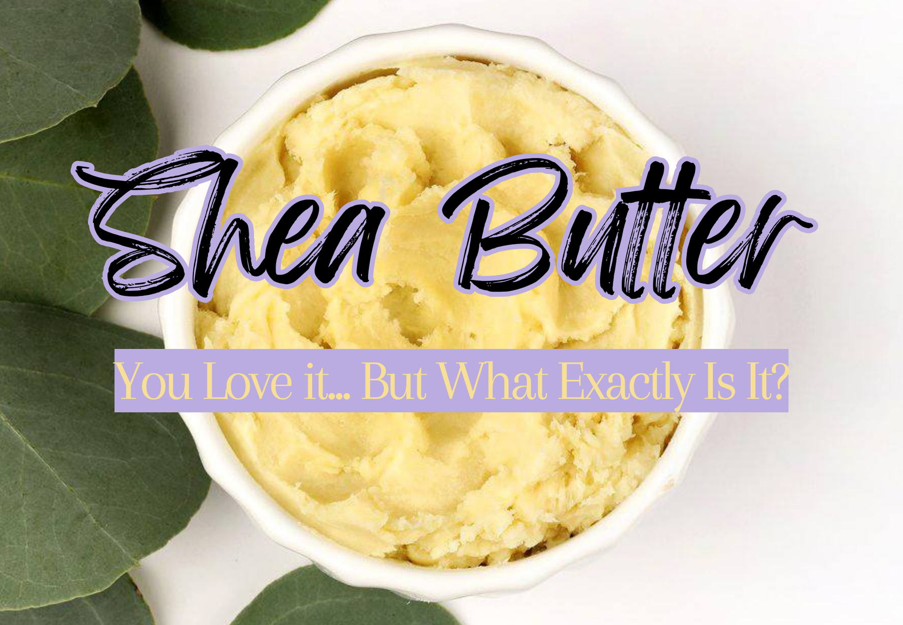 What is in Shea Butter?
